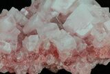 Pink Halite Crystal Plate - Trona, California #61071-1